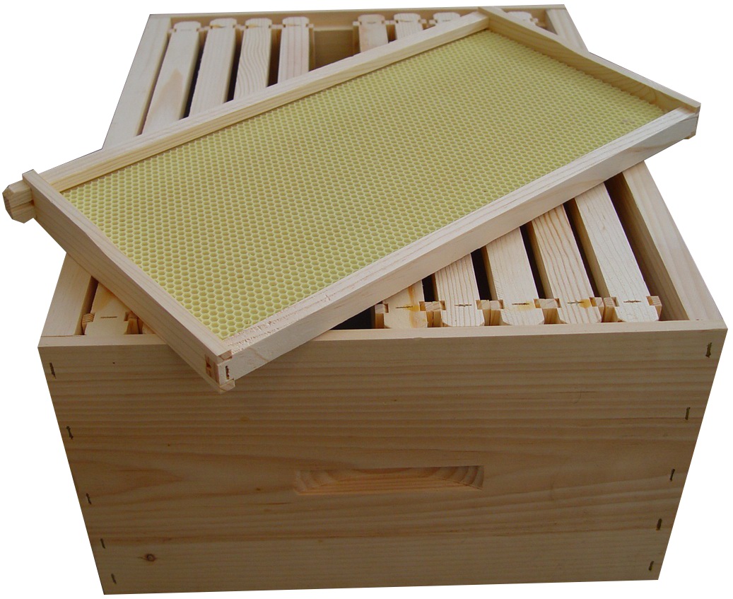Assembled Wood Frames with Wax Coated Plastic Foundation